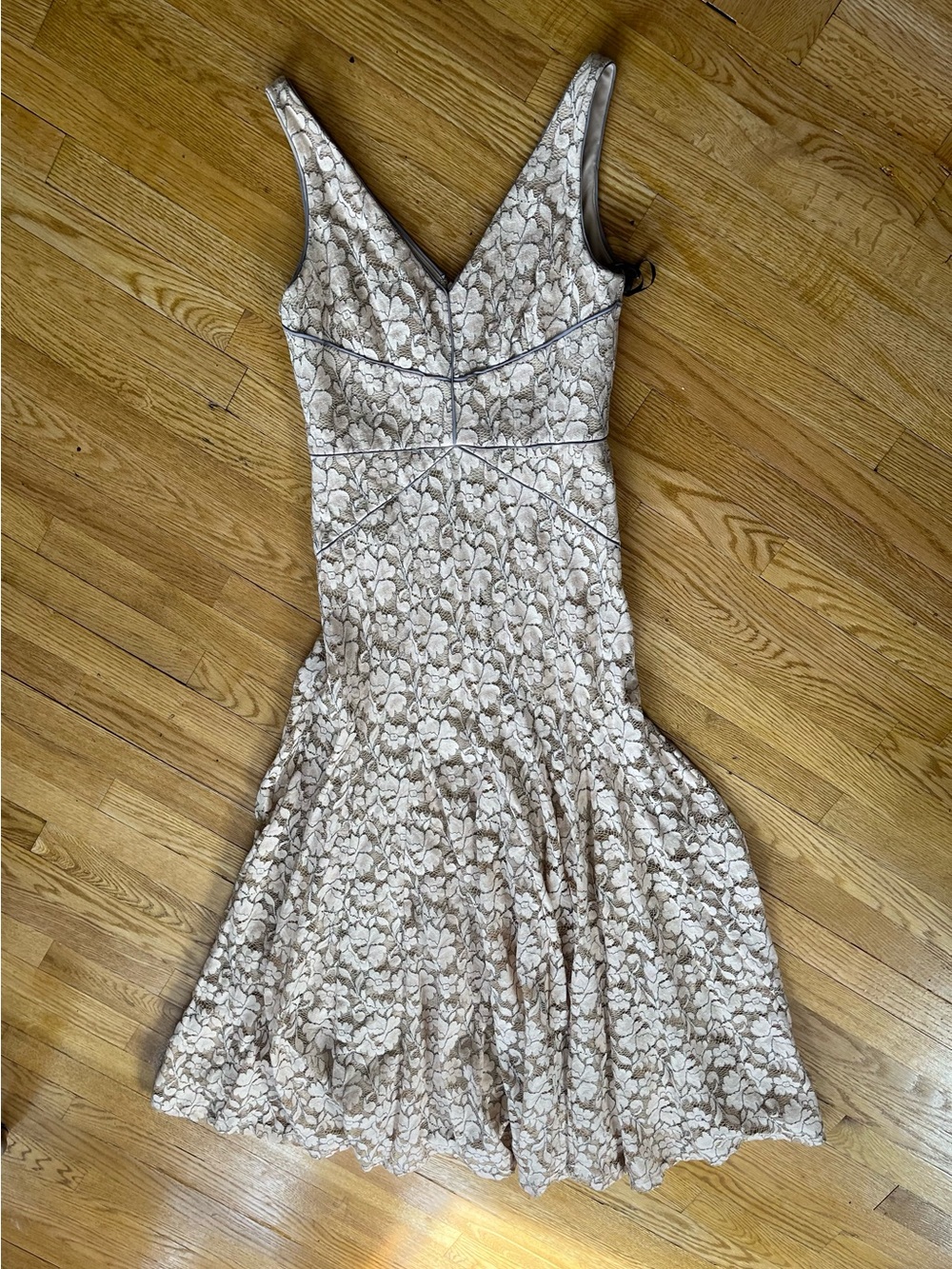 Vera Wang Blush Floral Lace V-Neck Maxi Dress Size 8 EUC Fully Lined Sleeveless - Picture 8 of 10